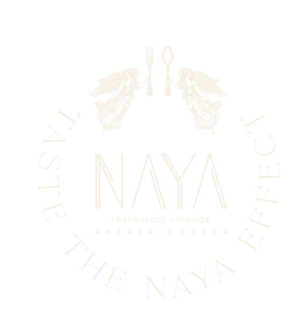 Naya Logo